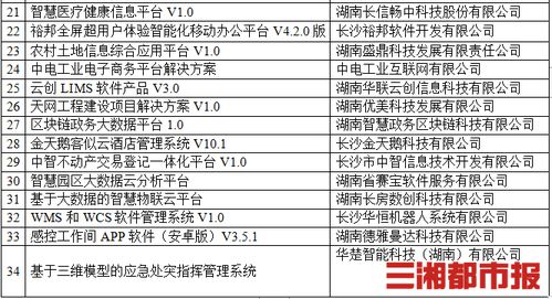 2020年湖南软件和信息技术服务业企业50强名单公示